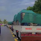 دينا االباحة مشاوير