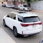جيب شانجانsc95 2020 بدون دبل