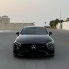CLS 53 2019
