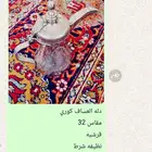 دله وبريق وعين غاز كوري