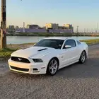 موستنج جي تي 5.0 اوتو GT م 12