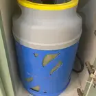 غاز