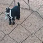السلام عليكم ورحمة الله وبركاته