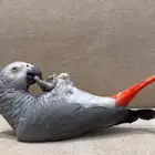 كاسكو