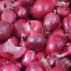 مشروع مربح