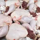 دجاج للاحم طازج ذبح يومي