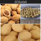 ام عباس