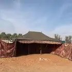 خيمه الخرج 600 قابله للتفاوض