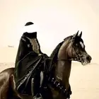 مطلوب فارسات المشاركة في احتفالات يوم التأسيس