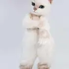 شخصيات_كرتونيه ملابس_تنكريه