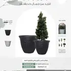احواض زرع فخمة
