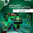 اضاءة اليوم الوطني 95