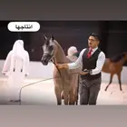 فرس مكس جمال منتجة لقاح على الفحل فواز العويضة ابن الرشيم