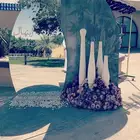 تأجير الحفلات