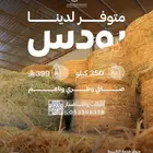 علف رودس للخيل والابقار والدواجن