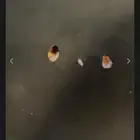 كتب حرف ال رمادي ب300 ريال