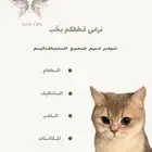 فندقة قطط وتزاوج بجدة