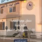 حصان شعبي للبيع شامل ايواء 3 اشهر 5500