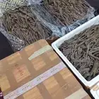 عود هندي سوبر جملة 60 كيلو