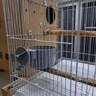 أستاند وأقفاص 610 مع البياضات (( تم البيع ))