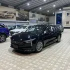 فاو بيستون B70 كومفورت 2025 اصفار