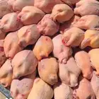 دخل محلي سعر طيب كمية قليلة