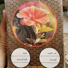 لأهل أول دفاتر مكتبة مرزا صناعة أندونيسيا 100 ورقة
