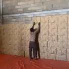 1000 كرتون موز جديد مع الكيس