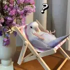 فندق الطيور للأجازات والسفر