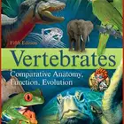 معلم تاسيس صفوف اوليه جميع المواد