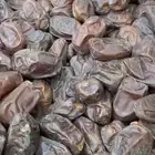 تمر خضري من نفود الزلفي