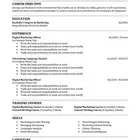 سيرة ذاتية احترافية CV ATS