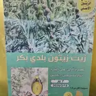 زيت زيتون أصلي من فلسطين بجودته المعروفة
