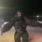 للبيع جلسات ومشبات شتوية