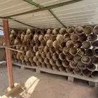 سطول بويه - القصيم - البكيرية