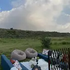 جلسة تأجير للبيع