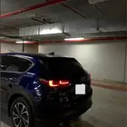 Cx5