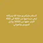 العوالي