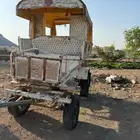 حنطور خيل بوني للبيع