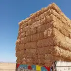 تبن قمح