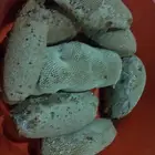 عسل بري حر لايتدخل فيه الانسان