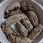عسل بري حر اليوم