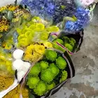 المنطقه الشرقيه والغربيه بالرياض