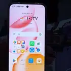 الرياض منفوحة