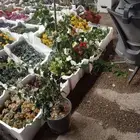 تنسيق حدائق ثيل طبيعي ثيل صناعي اشجار داخلي وخارجي