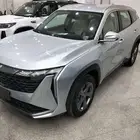 جيلي ستارراي