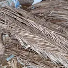 سعف نخل .. جريد للبيع