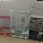 اقفاص نظيفه