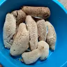 عسل بري حر الكيلوب100 طازج كل يوم.