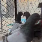 حمام سلفر